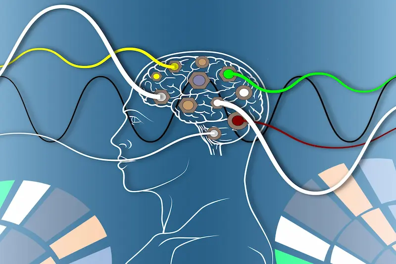 neurofeedback mozdani talasi.webp