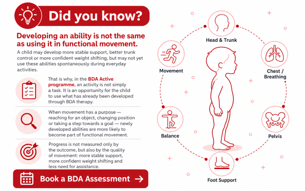 bda active functional movement